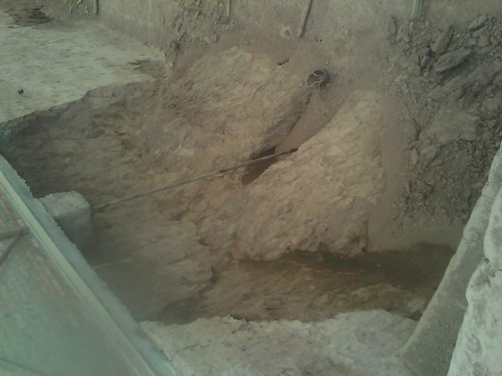 IMAG0155.jpg